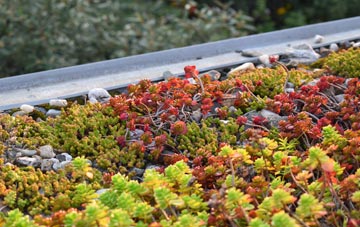 the cost of Pains Hill green roof installation