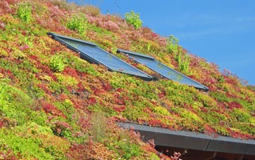 Pains Hill living roof systems